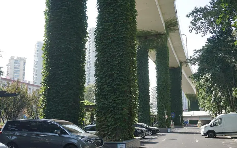 大理市政绿化种植土单价