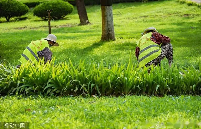 园林管理短板：景区秩序混乱、管理方式滞后成热点问题