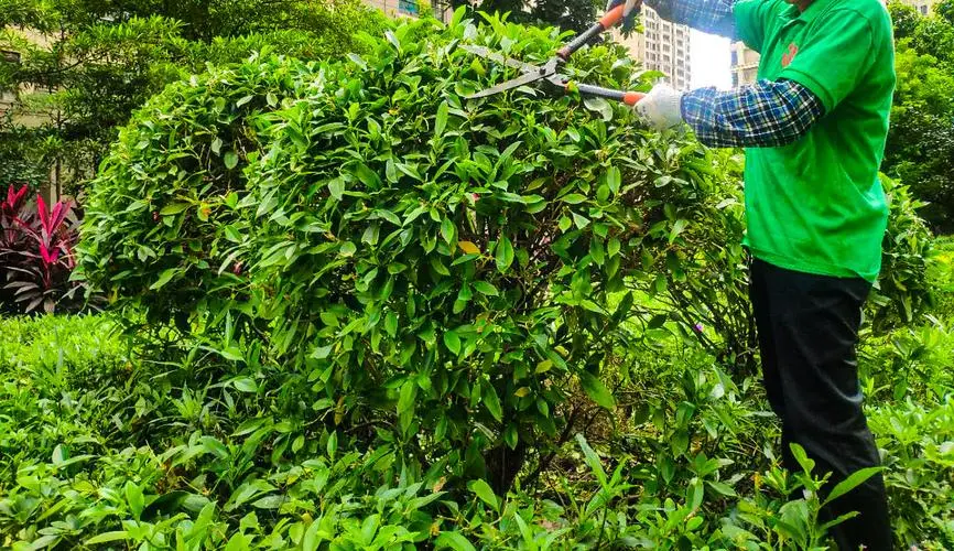 福州湿地将有智慧管理平台呵护