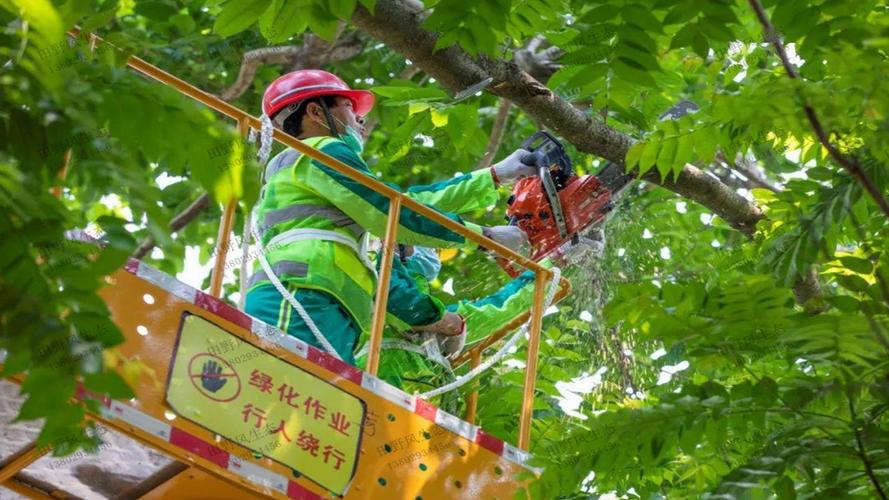 公园园林景观设计涂色